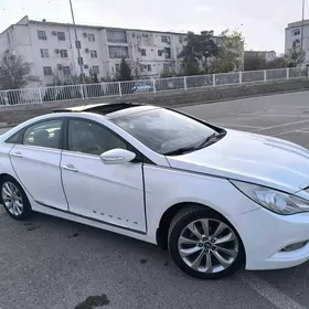 Hyundai Sonata 2010