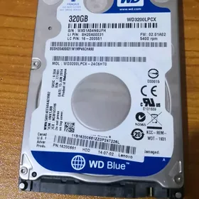320GB wincestr