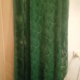 gulli asgabat pommah