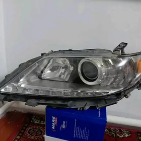 Lexus cep tarap fary