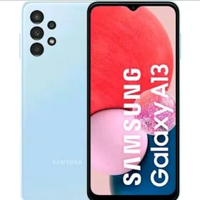 A 13