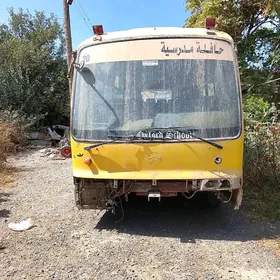 Golden Dragon XML6901 2008