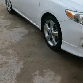 17 diska pakriska  karolla ehs