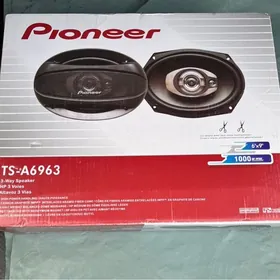 pioneer