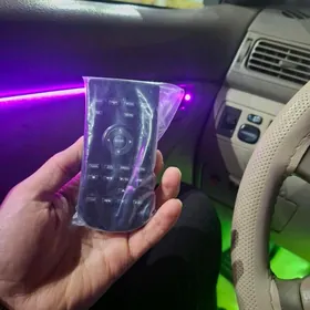 pioneer pult arginal