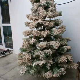 yolka ak garly ёлка