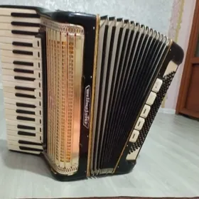 akkordeon