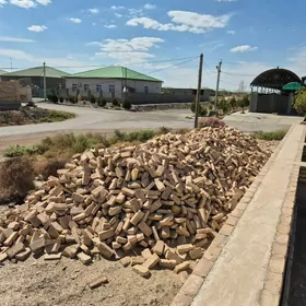 12 sot  mellek Arjan