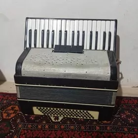 Akardeon oñşuk bar.