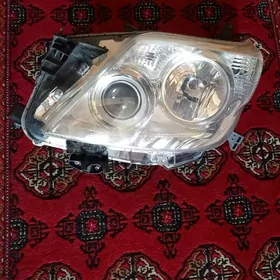 фара передняя Prado 2010-14 ле