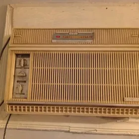 SATYN ALYAN KANSANER