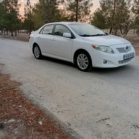 Toyota Corolla 2010