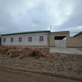 Hallang taza ucaska.