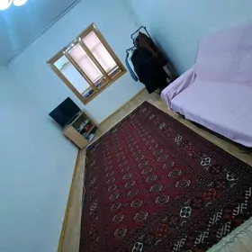 kwartirant gyz gerek