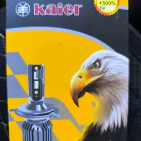 Kaiser Toby Let Taze