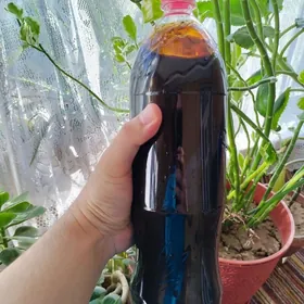 25 yıllık Ary Baly