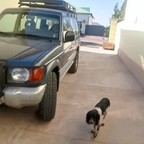 Mitsubishi Montero 1995