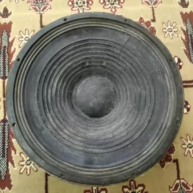 Динамик 1000 вт