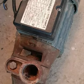 Nasos SHIMGE Насос