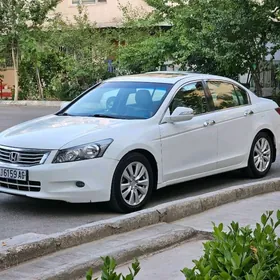 Honda Accord 2011