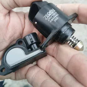 balyk gulak tihot dajik