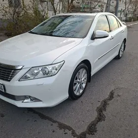 Toyota Aurion 2013