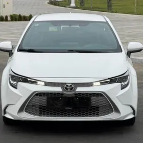 Toyota Corolla 2021