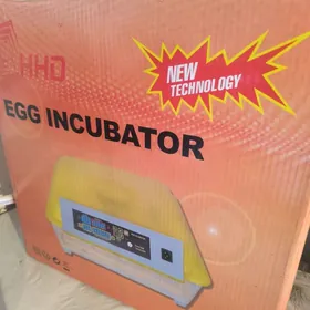 inkubator