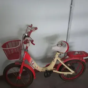 Tigir gyzlaryňky samakat