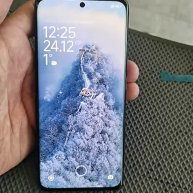Xiaomi12X