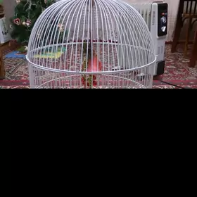 Клетка для попугаев