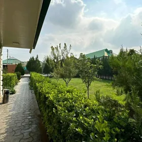 Багир Миреве 2 Дома