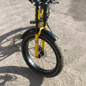 ýogyn tigerli welik