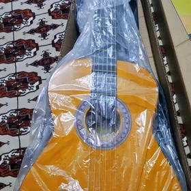 AKSESUARLY KOMPLE GITARA