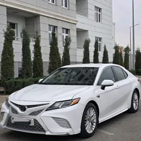 Toyota Camry 2019