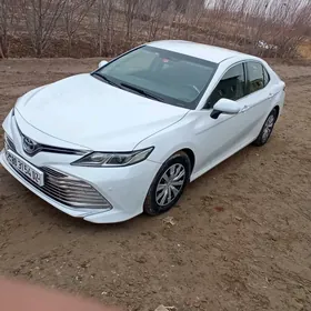 Toyota Camry 2020