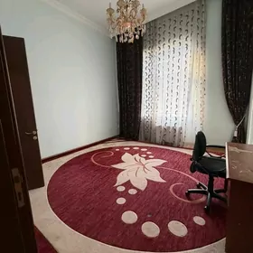 satlyk  moskovskiy elitka