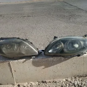 Corolla karolla fara