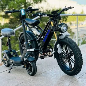 TIGIR HADINOK MASYN SAMAKAT