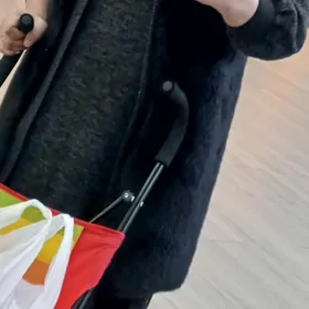 arassaja tuyli yensiz