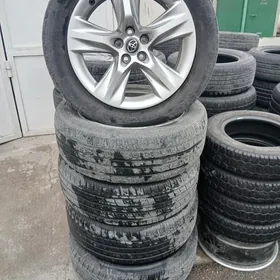 19lyk haylander disga