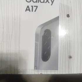 A17