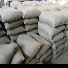 SEMENT DERS MITI GRAWY TOYUN