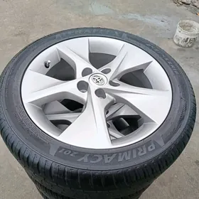 18 palta disga pakrysga