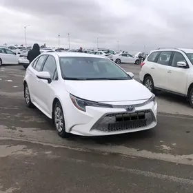 Toyota Corolla 2020