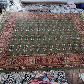 Haly turkun alty citim halysy