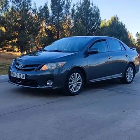 Toyota Corolla 2013