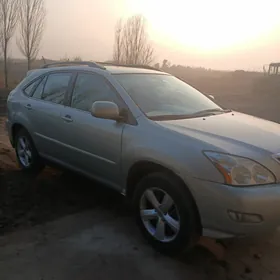 Lexus RX 330 2004