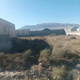 Gäwers Bereketli Äne