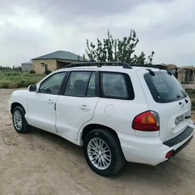 Hyundai Santa Fe 2002